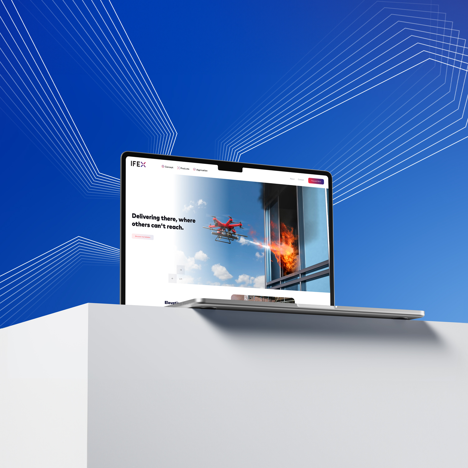 IFEX Services